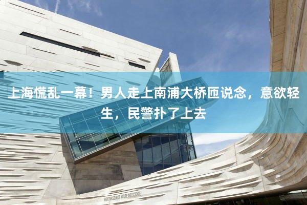 上海慌乱一幕！男人走上南浦大桥匝说念，意欲轻生，民警扑了上去