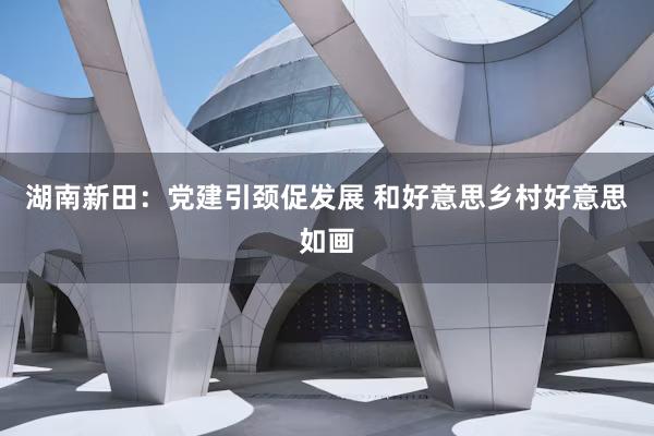 湖南新田：党建引颈促发展 和好意思乡村好意思如画