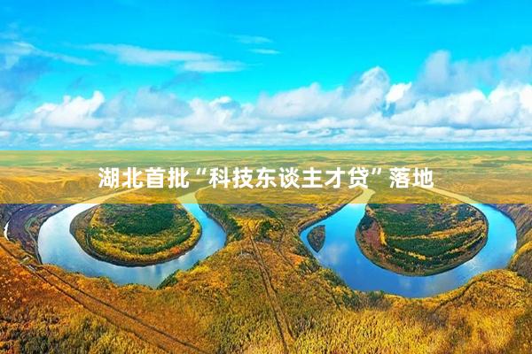 湖北首批“科技东谈主才贷”落地
